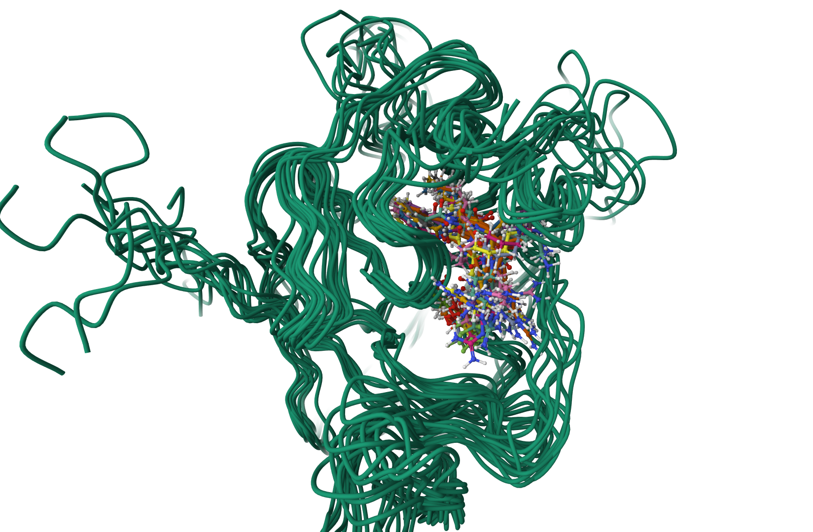Protein Conformational Ensemble